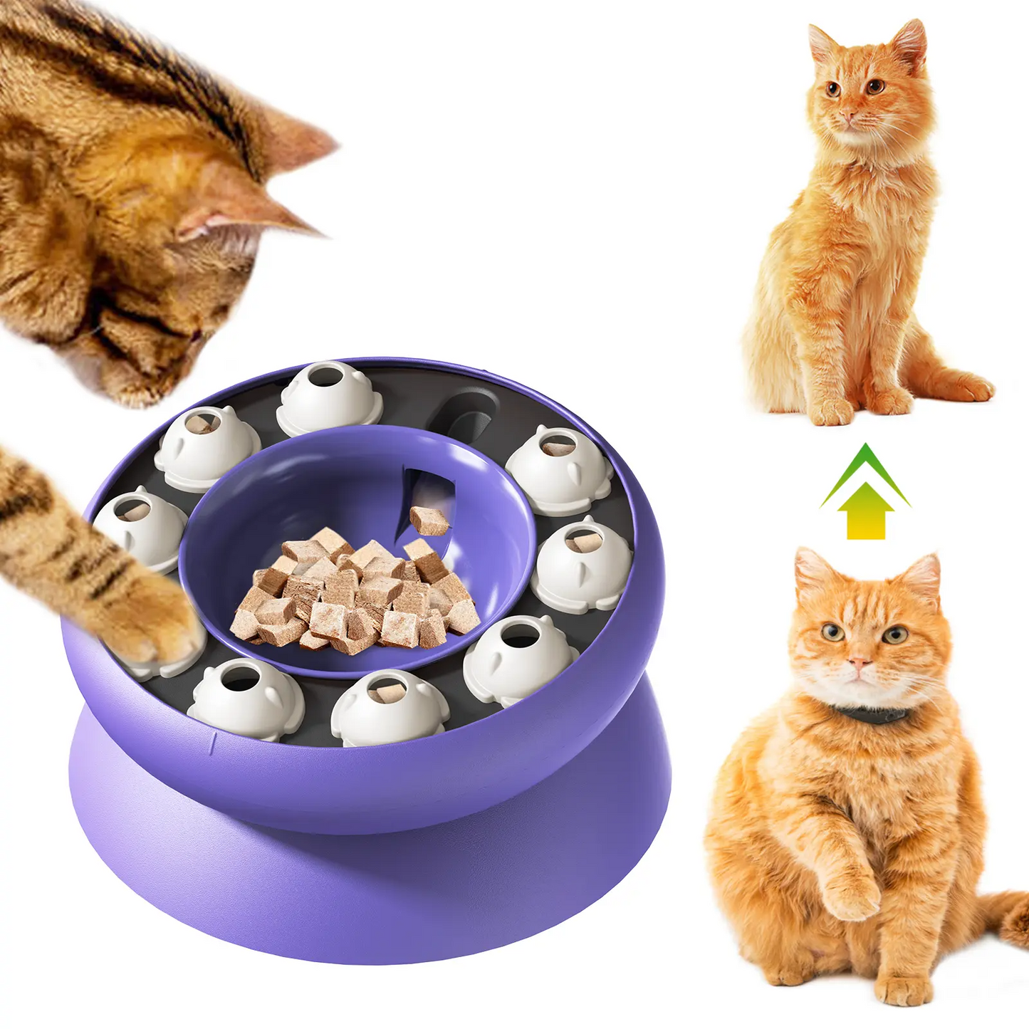 Cat Puzzle Feeder for Indoor Cats, Kitten Enrichment Toys