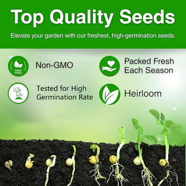 ⏰49% OFF✨🌱Easy-Grow Sacred Lotus Seeds for Bonsai Bowl & Indoor Water Gardens