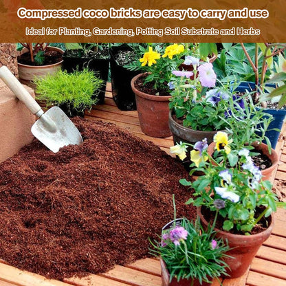 🥥2026  Premium Organic Coconut Coir Bricks for Plants (Collected from Pacific island countries)