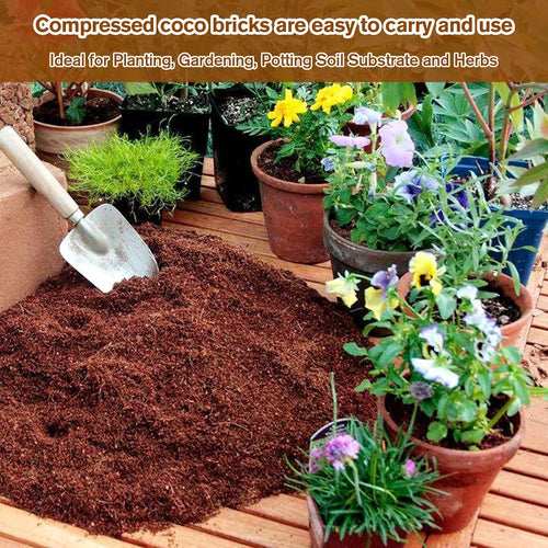 🥥2026  Premium Organic Coconut Coir Bricks for Plants (Collected from Pacific island countries)