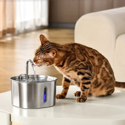 2.2L Fountain