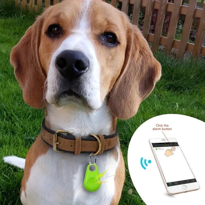 Today's Flash Sale⚡ 49% OFF🔥Intelligent Locator