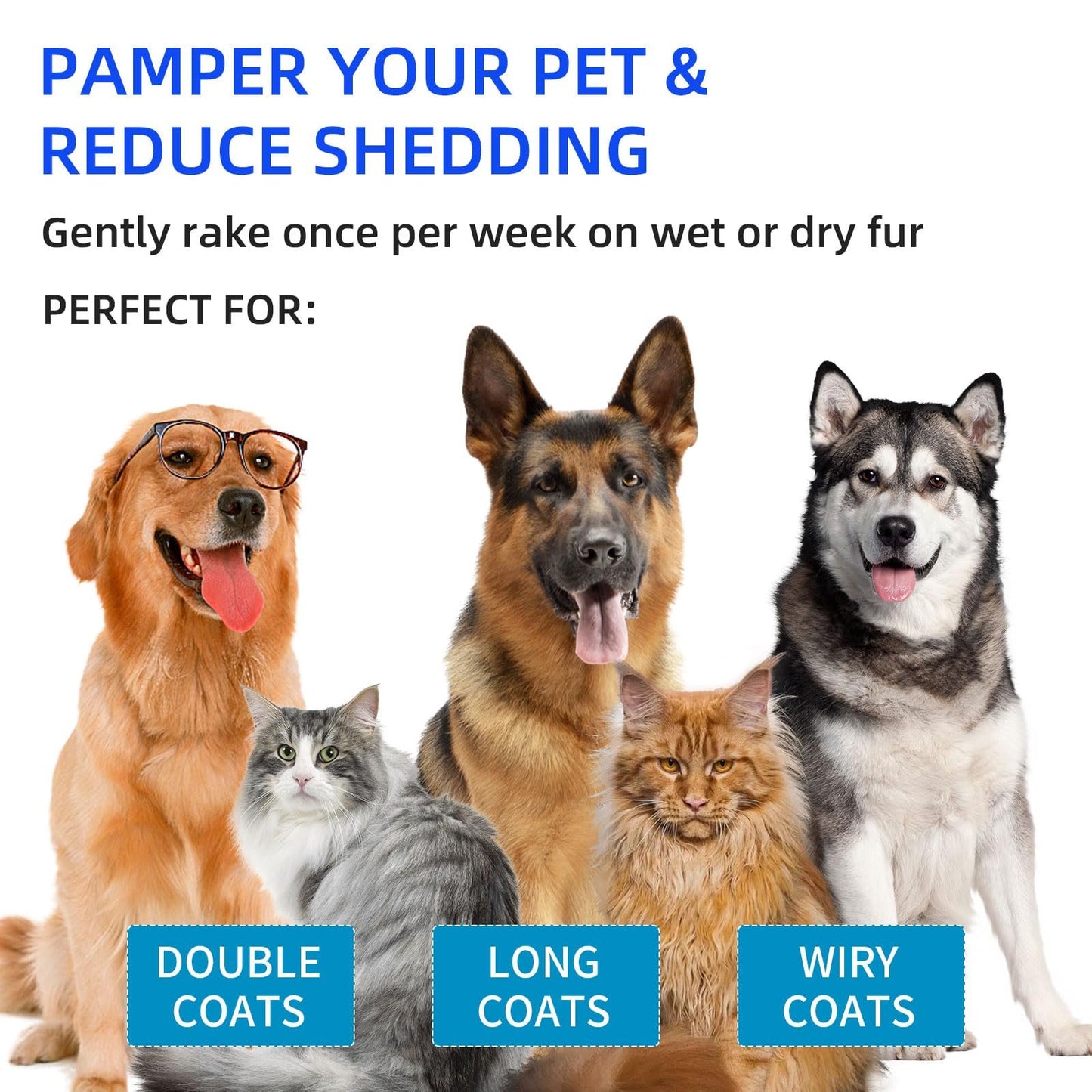 ✨Hot Sale 49% OFF💥Pet Spray Hair Removal Comb🐶