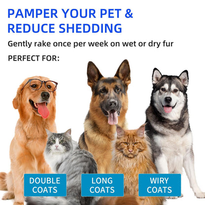 ✨Hot Sale 49% OFF💥Pet Spray Hair Removal Comb🐶