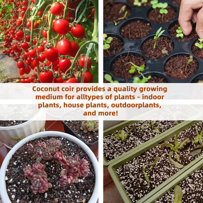 🥥2026  Premium Organic Coconut Coir Bricks for Plants (Collected from Pacific island countries)