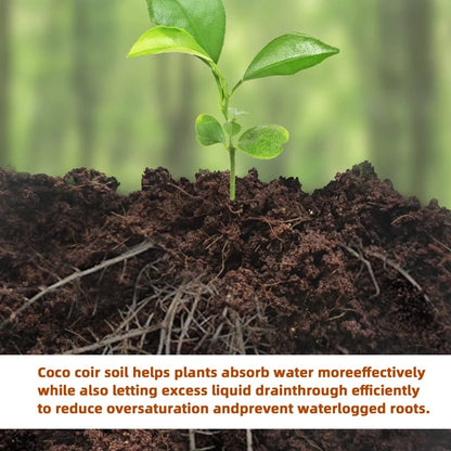🥥2026  Premium Organic Coconut Coir Bricks for Plants (Collected from Pacific island countries)