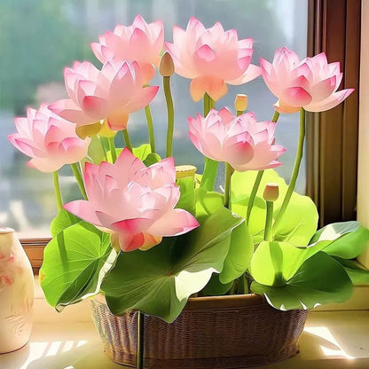 ⏰49% OFF✨🌱Easy-Grow Sacred Lotus Seeds for Bonsai Bowl & Indoor Water Gardens