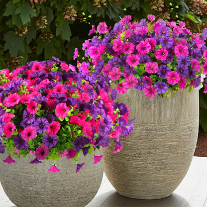 🔥2026 Super Value Set (49% OFF) - Everlasting Morning Glory Faux Flowers🌸🌿