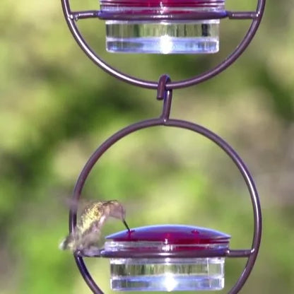 🎉Hummble Slim Hummingbird Feeder