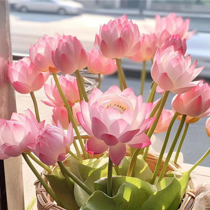 🔥Discount 49% OFF💐The Sacred Bonsai Bowl Lotus Flower