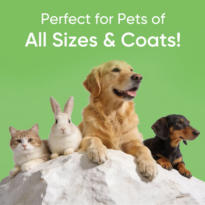 4-in-1 Steam Pet Brush for Dogs & Cats – Self Cleaning Deshedding Grooming Brush with Steam & Wipe Feature