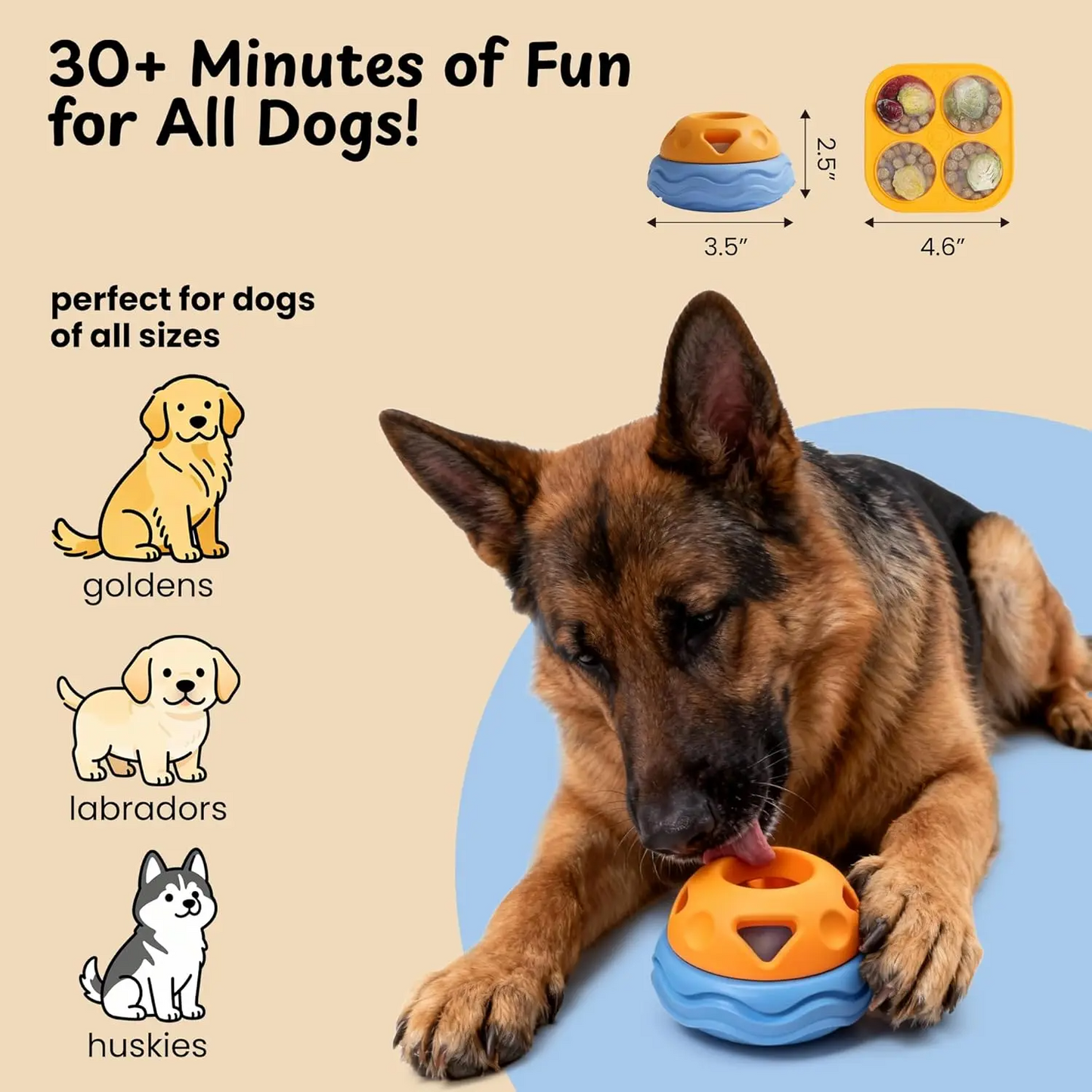 Interactive Chew Toy & Frozen Treat Mold Set