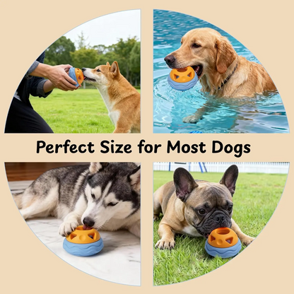 Interactive Chew Toy & Frozen Treat Mold Set