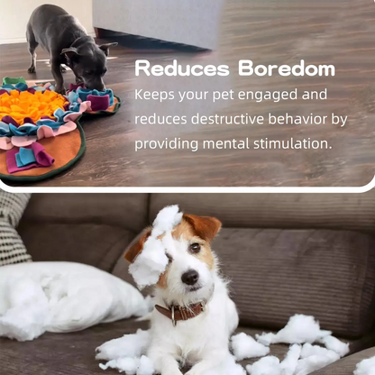 Colorful Interactive Pet Sniffing Toy