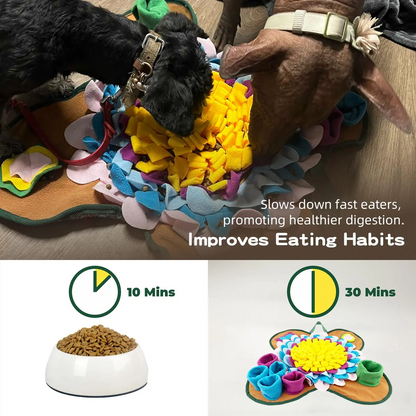 Colorful Interactive Pet Sniffing Toy