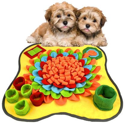 Colorful Interactive Pet Sniffing Toy