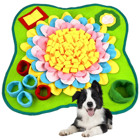 Colorful Interactive Pet Sniffing Toy