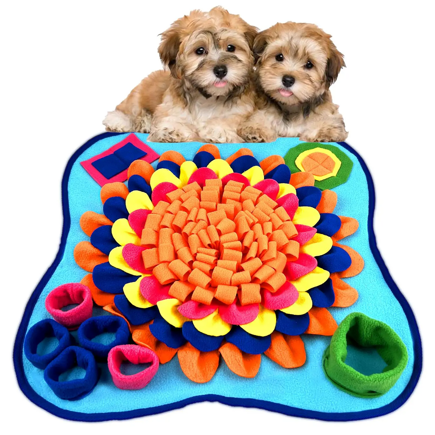 Colorful Interactive Pet Sniffing Toy