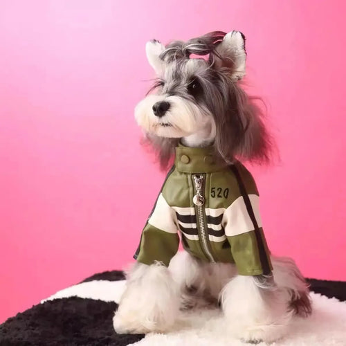 Dog Autumn Winter Clothes Jacket for Maltese Yorkshire Schnauzer Bichon Teddy Pomeranian Shiba Inu PU Material Stylish Motorcycle Design
