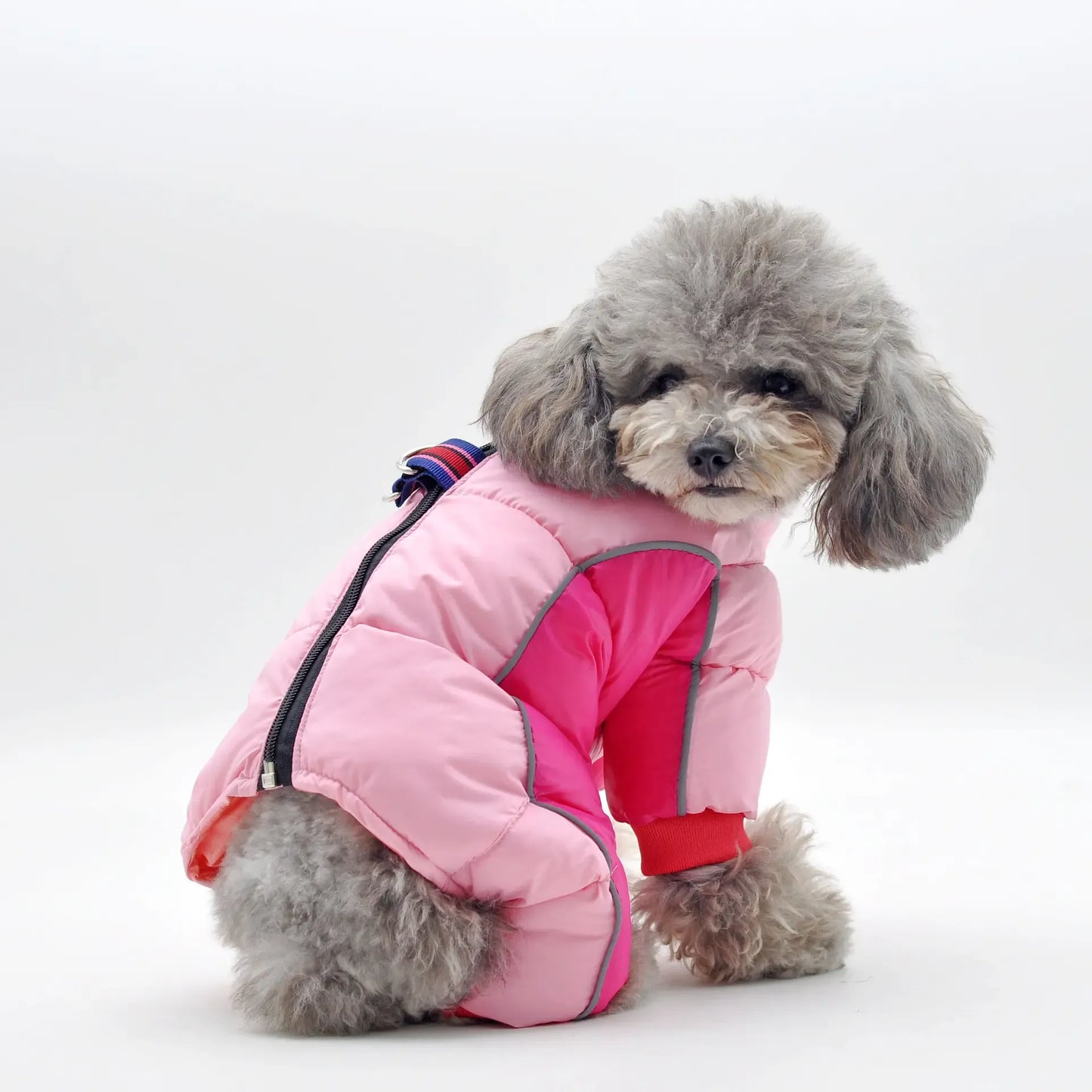 Super Warm Winter Dog Jacket for Small/Medium Dogs - Thicker Cotton Coat Waterproof and cold proof, Snowy Days, and Outdoor Walks - Pocket Hoodie for Convenience