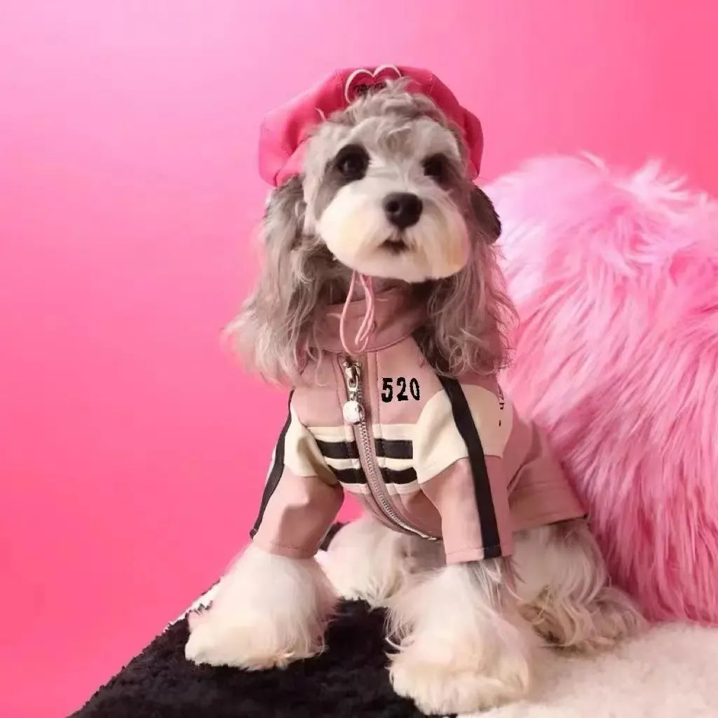 Dog Autumn Winter Clothes Jacket for Maltese Yorkshire Schnauzer Bichon Teddy Pomeranian Shiba Inu PU Material Stylish Motorcycle Design