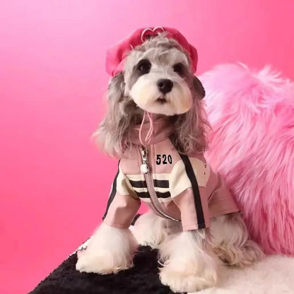 Dog Autumn Winter Clothes Jacket for Maltese Yorkshire Schnauzer Bichon Teddy Pomeranian Shiba Inu PU Material Stylish Motorcycle Design