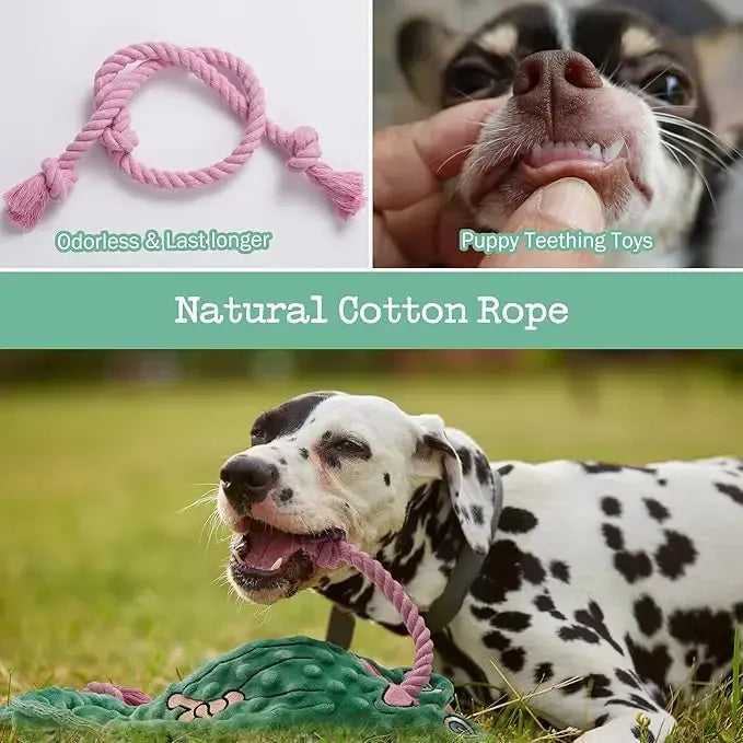 Toad of War Dog Rope Toy, Christmas gift, Durable Rope Toy for Tug of War, Interactive Squeaky Tug Toy for Small Medium Dogs