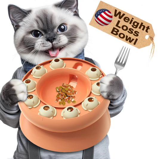 Cat Puzzle Feeder for Indoor Cats, Kitten Enrichment Toys