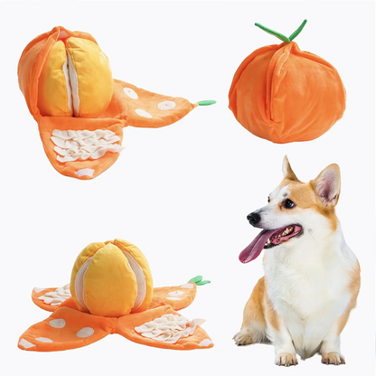 5-in-1 Orange Squeaky Hide and Seek Puzzle Enrichment Toys