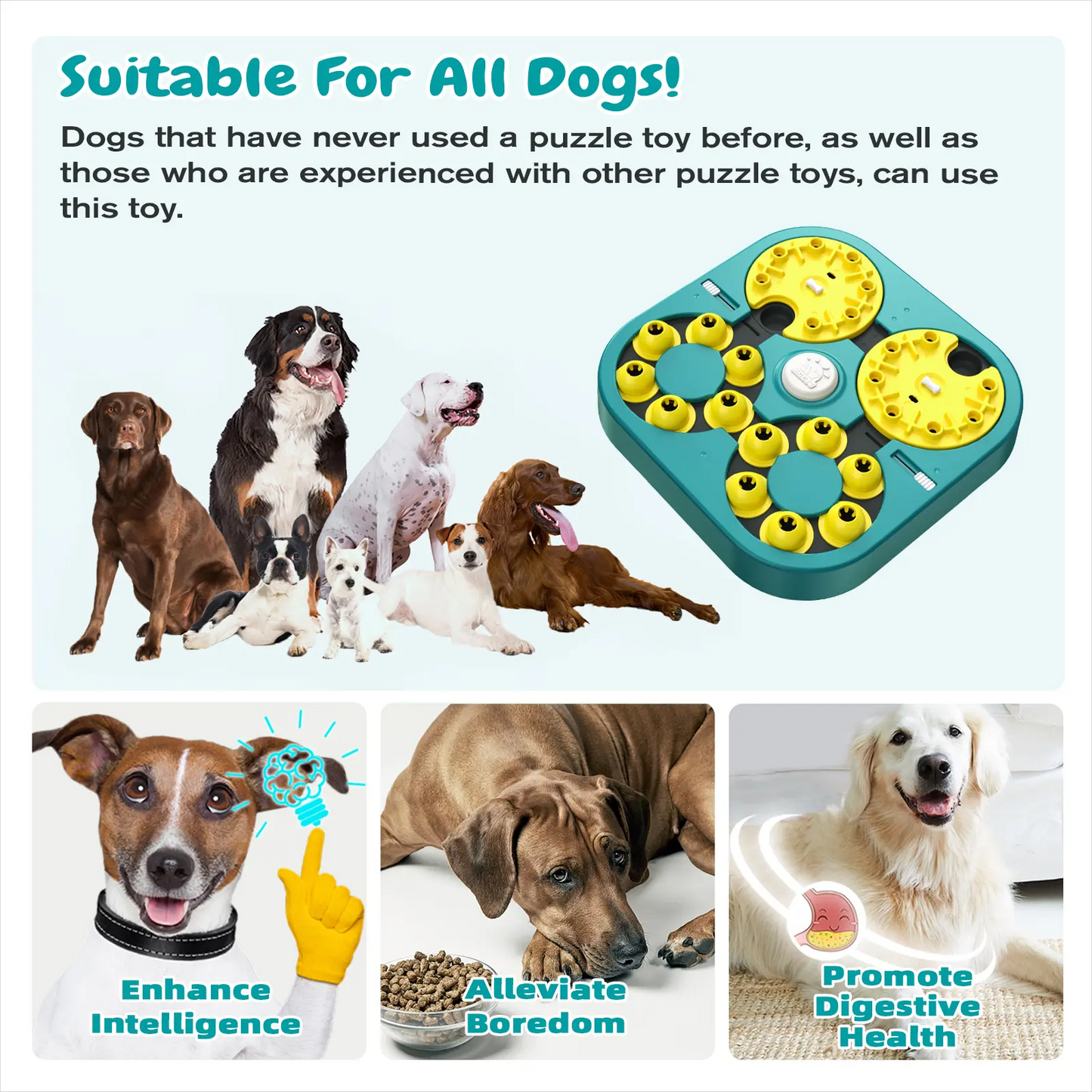 5 Levels of Step-by-Step Challenge - 6 Ways to Play - Extra-Large Size Beginner to Expert Dog Puzzle Toy for Smart Dogs