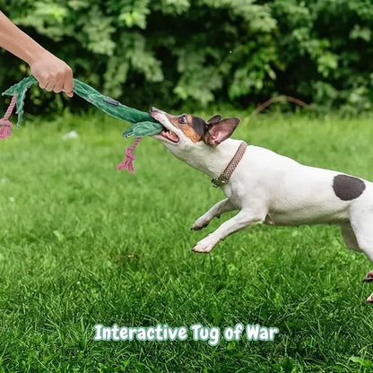 Toad of War Dog Rope Toy, Christmas gift, Durable Rope Toy for Tug of War, Interactive Squeaky Tug Toy for Small Medium Dogs