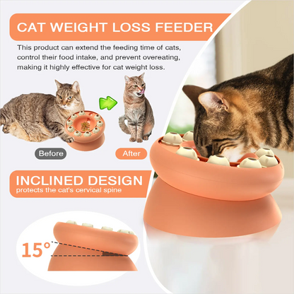 Cat Puzzle Feeder for Indoor Cats, Kitten Enrichment Toys