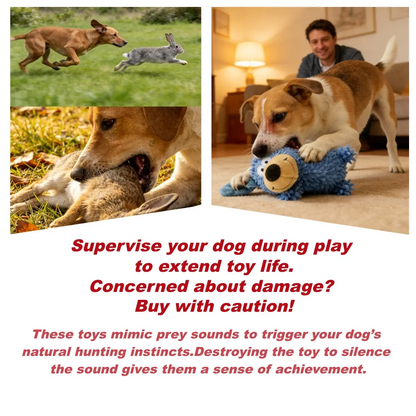 Teething Fun Plush Dog Toys