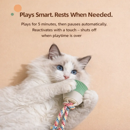 Smart Interactive Pet Ball with Sound & Chewy Ropes