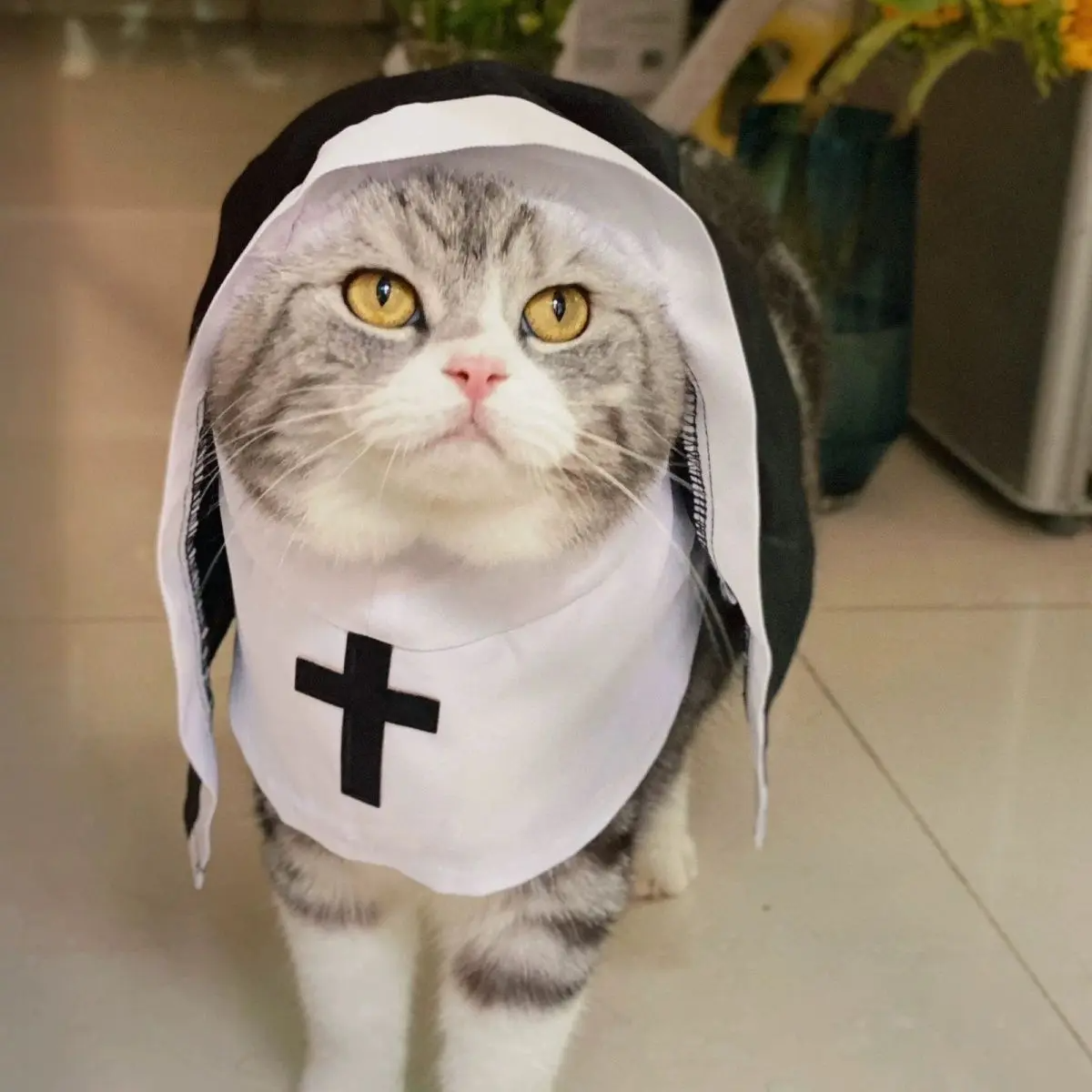 Holy Cute Nun Costume for Cats & Small Dogs😺⛪