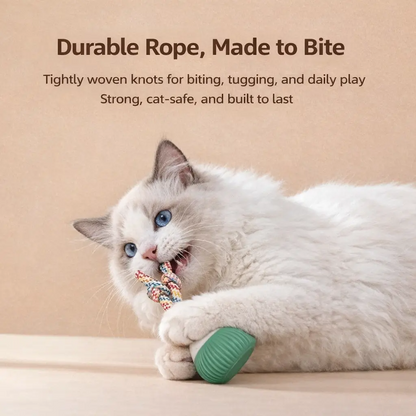 Smart Interactive Pet Ball with Sound & Chewy Ropes