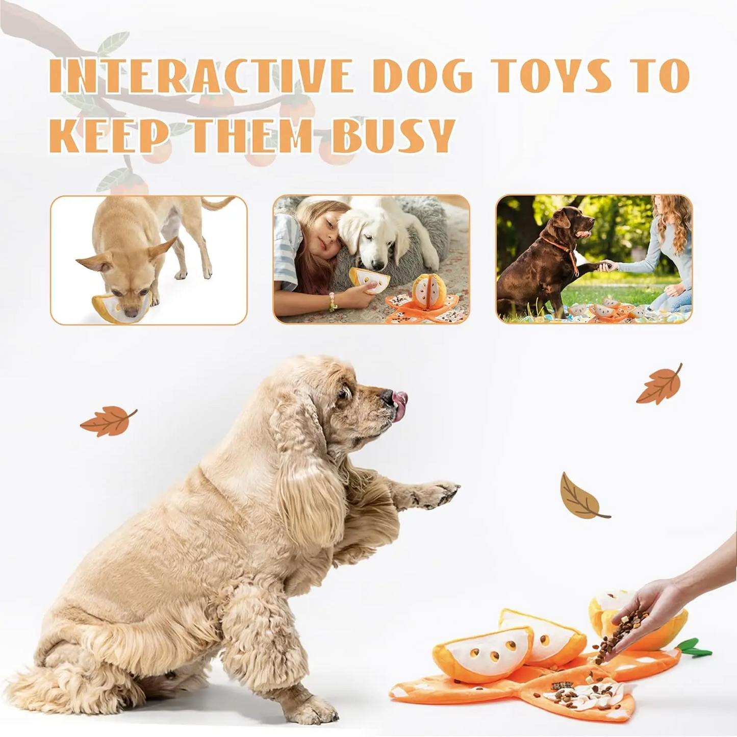 5-in-1 Orange Squeaky Hide and Seek Puzzle Enrichment Toys